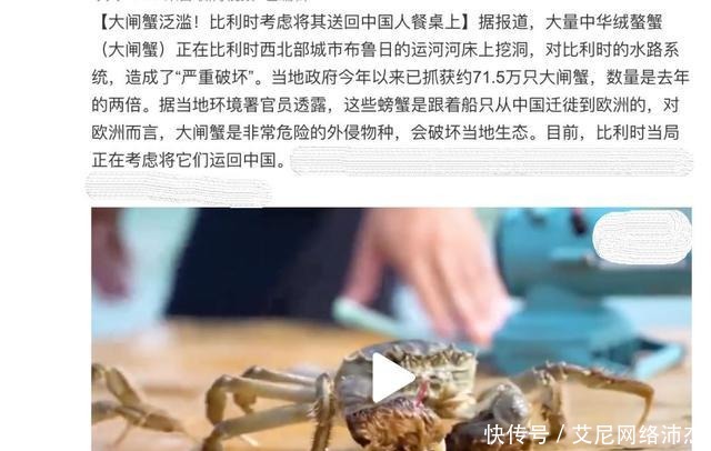 大闸蟹“移民”去了欧洲，在泰晤士河岸留下千疮百孔！