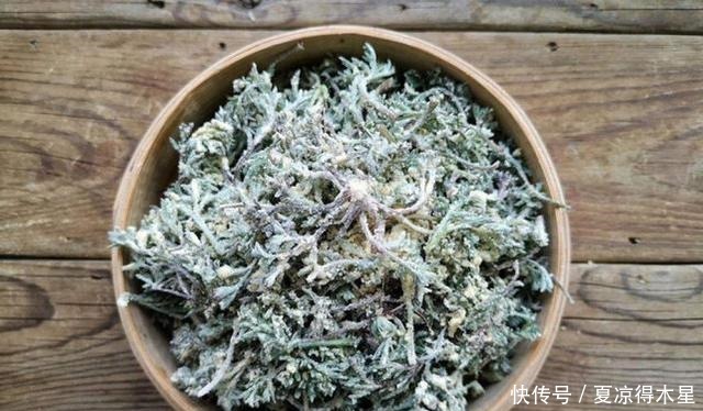  3月当野菜吃，4月当药材用，价值很高别错过