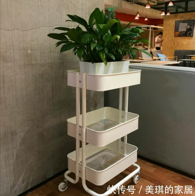 沐宸|这几件家居用品,都说不实用,但我依然装进新家里,父母说很值!