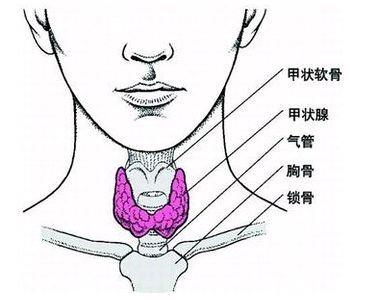 腮腺炎病毒|备孕不易，这几个 “小病”，一定要警惕！