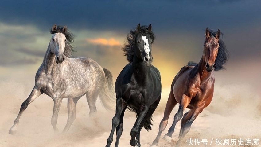 关羽|评书三大名马:赵云骑,关羽骑,最牛的李元霸骑,日行一万里!