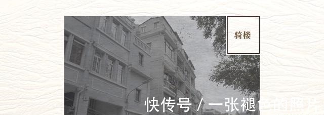 广州|高晓松全中国我最喜欢的城市,让我选十回依然选它