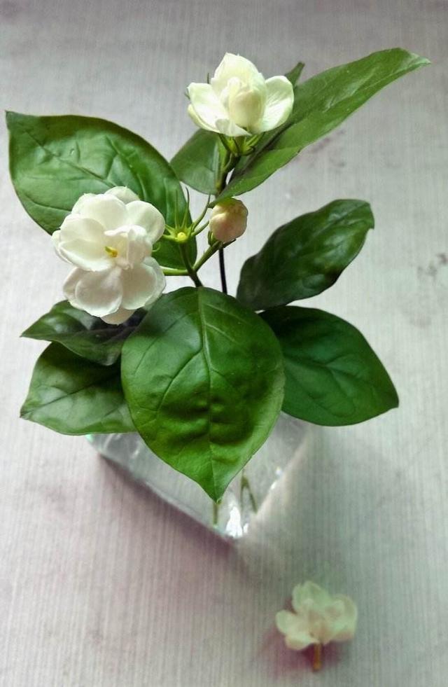 茉莉为什么养不好养护时注意5点,让茉莉叶茂根壮花爆盆