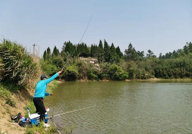 理想中的钓鱼VS现实中的钓鱼,新手看懵圈,老手看得扎心