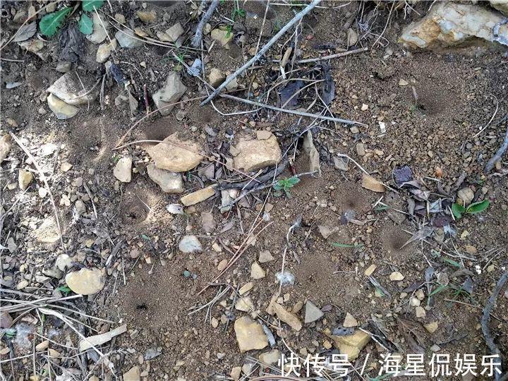 天后|10个养花的坏习惯,赶紧改,不然真是浪费钱!