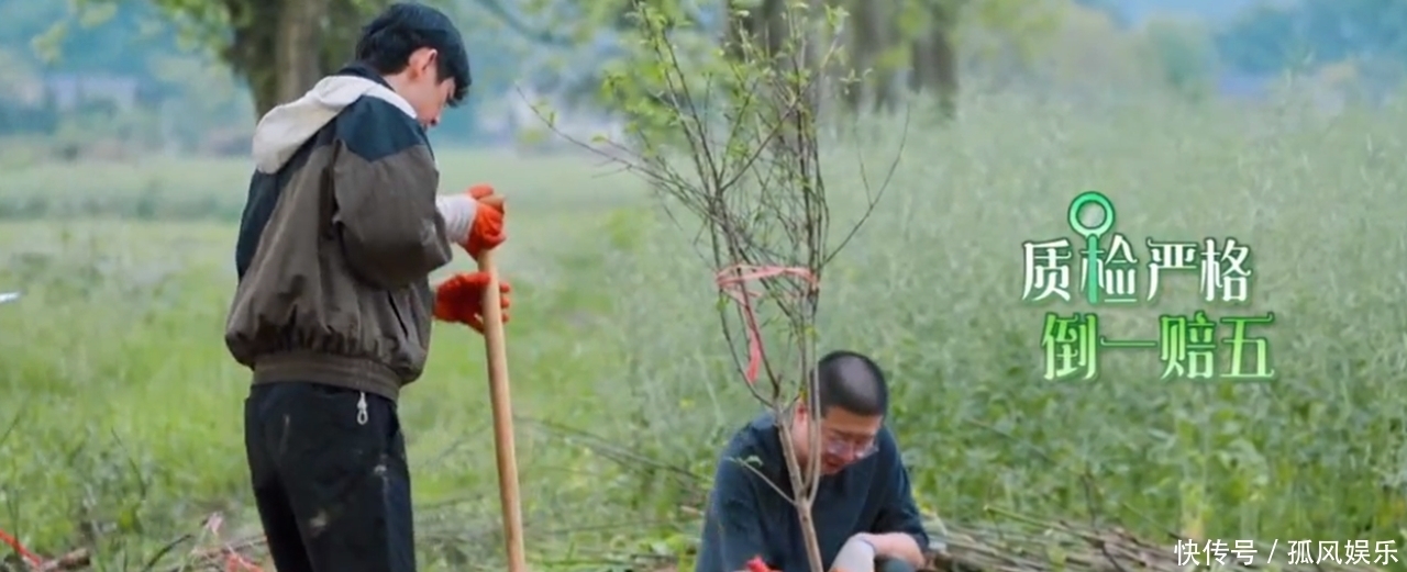 张子枫|《向往的生活》看了陈赫和李诞的奥特曼，妹妹你还相信有光吗？