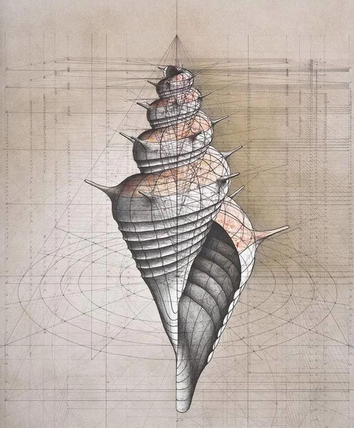 黄金比例!理工男花40年时间,用圆规画1000张画,黄金比例的拥护者