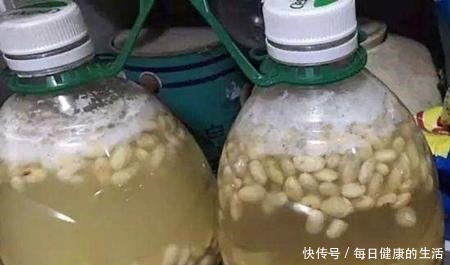 养花只用了黄豆水，不施肥也呼呼冒新叶，这人养花奇了！