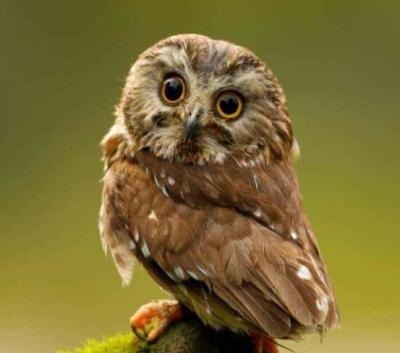 20条有趣的冷知识,你知道多少