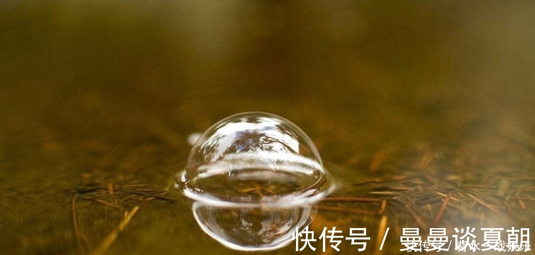 鱼星|打了好窝后,如何判断鱼进窝呢教你3招,最后那招太实在了