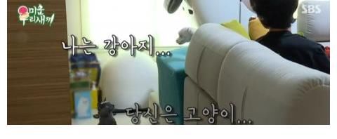 李尚敏|李尚敏向蹭住崔振赫家中，并极力撮合自己的猫和崔振赫的狗！