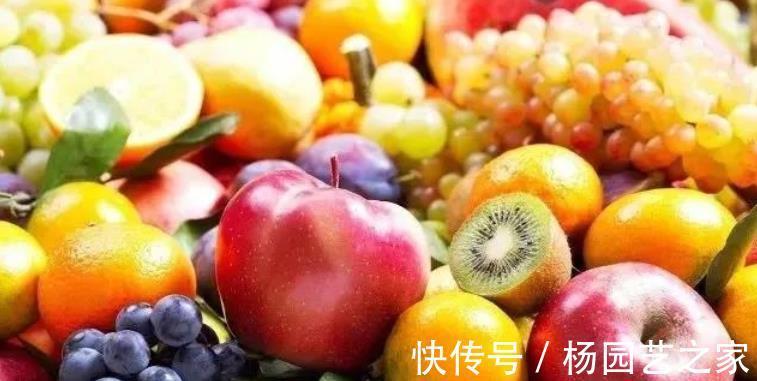 果皮|油渣能拿来养花吗?这么一处理,君子兰、月季都爱吃