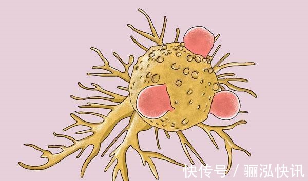 食物|得了癌症,真的不能吃牛羊肉吗列出忌口清单,榜中食物最好别吃