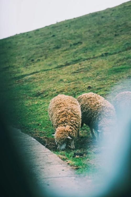 言育育儿:当孩子跟你闹脾气的时候,你该怎么做?