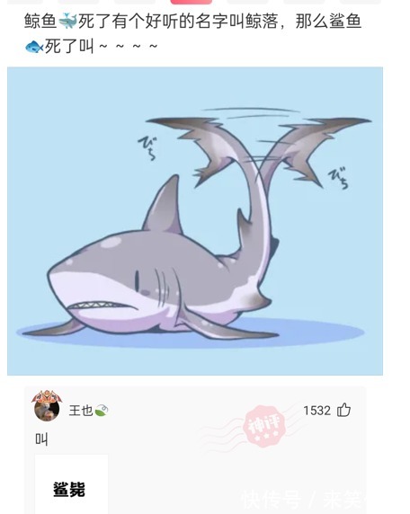 |搞笑神回复:鲸鱼挂掉是鲸落,那鲨鱼挂掉叫什么呢?