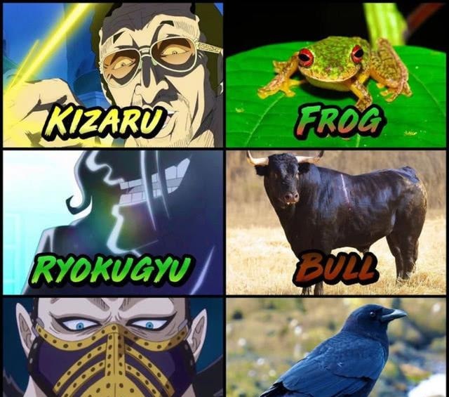 海贼王每个角色都代表一种动物,索隆是猛虎,为何山治是鸭子