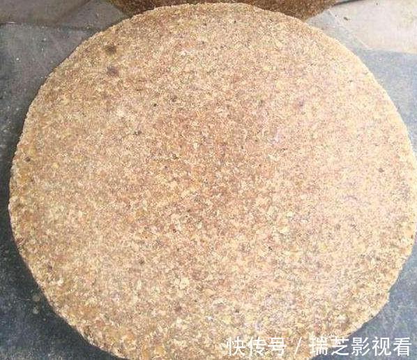 自制|居家自制肥:别光盯着淘米水了,用它们做花肥,营养价值更高