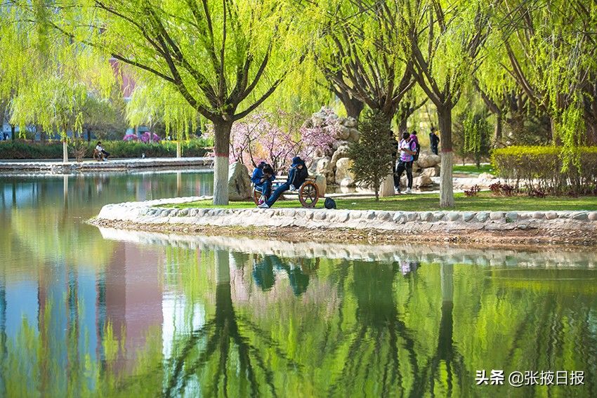 春天的河西学院，最美丽的风景处处都有视觉冲击