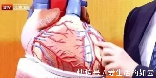 紫色|这5种食物,堪称“花青素之王”!抗氧化、护血管,不吃太可惜!