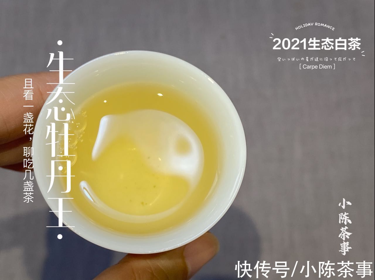 喝茶！5分钟，讲清白茶的5个常见误区，喝茶新手也能懂