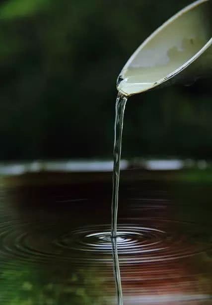 庭院|愿得一庭院,只用来喝茶