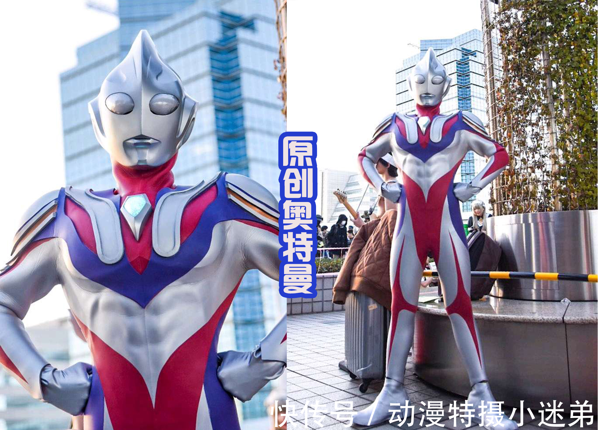 迪诺奥|曼娜斯奥特曼,漂亮还可爱,可以和原创迪诺奥特曼组成一对!