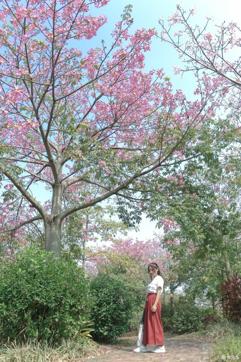 村里|古村里的顺德味