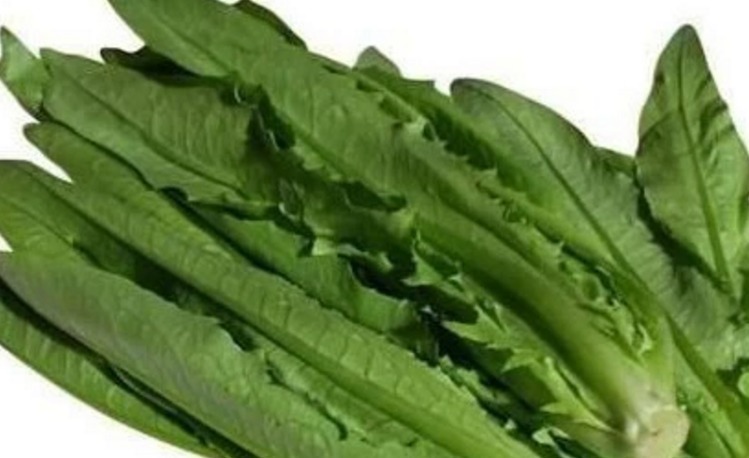 张医师|宁愿饿着，也不碰4种“脏蔬菜”，多半细菌成“群”，望周知