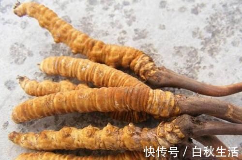 五味子|肾虚血瘀是老年人生病的根源所在！国医大师教你3招，补肾又活血