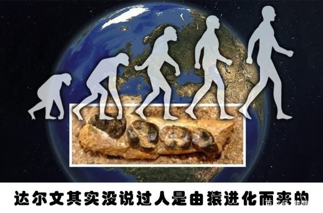 拔掉|你不大可能在教科书里学到的9个非常有趣的冷知识