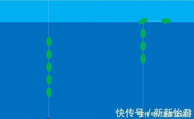 七星漂钓组灵敏度高,如何调漂能让灵敏度更高?可以试试这种方法