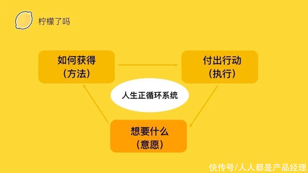 还原论|从复杂的模型，到简洁的思维