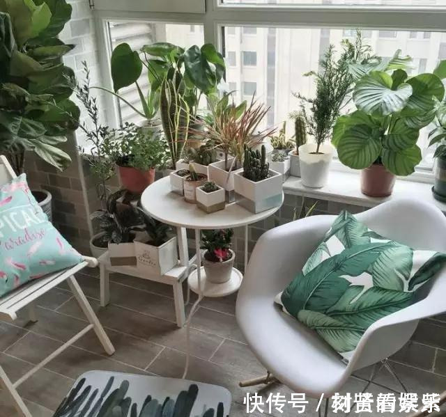 这才是我想要的阳台!种满花,有一个小憩的地方