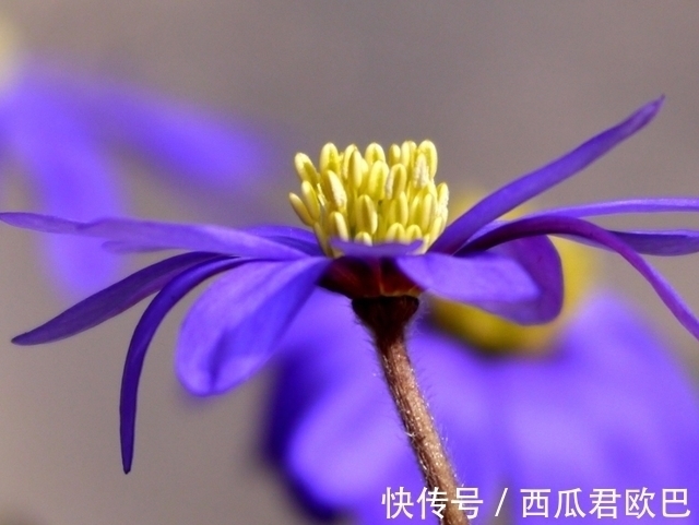 自尊|3天后,无私奉献,追寻爱情,红娘引线,拾起自尊,越过越风光