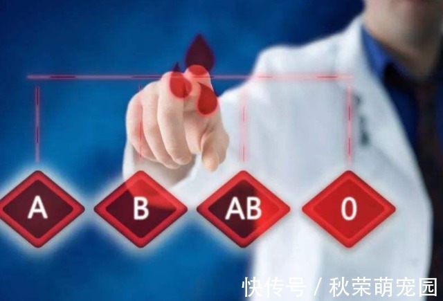 医生揭晓：A型、B型、AB型、O型，哪种血型的人体质好？