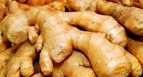 生姜保鲜不要总给冰箱放，老农民的土方法，随吃随取，特别新鲜