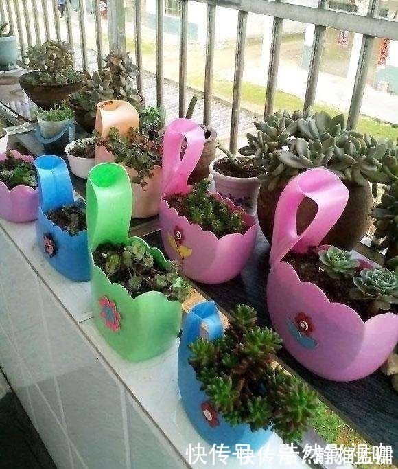 花盆|废弃的洗衣液桶剪两刀，瞬间变身养花神器，铲子花盆钱全省了！