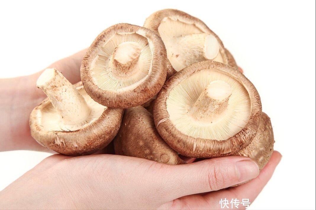 香菇|买香菇，挑大的还是小的？老菜农：牢记“3买4不买”，谁也不敢忽悠你