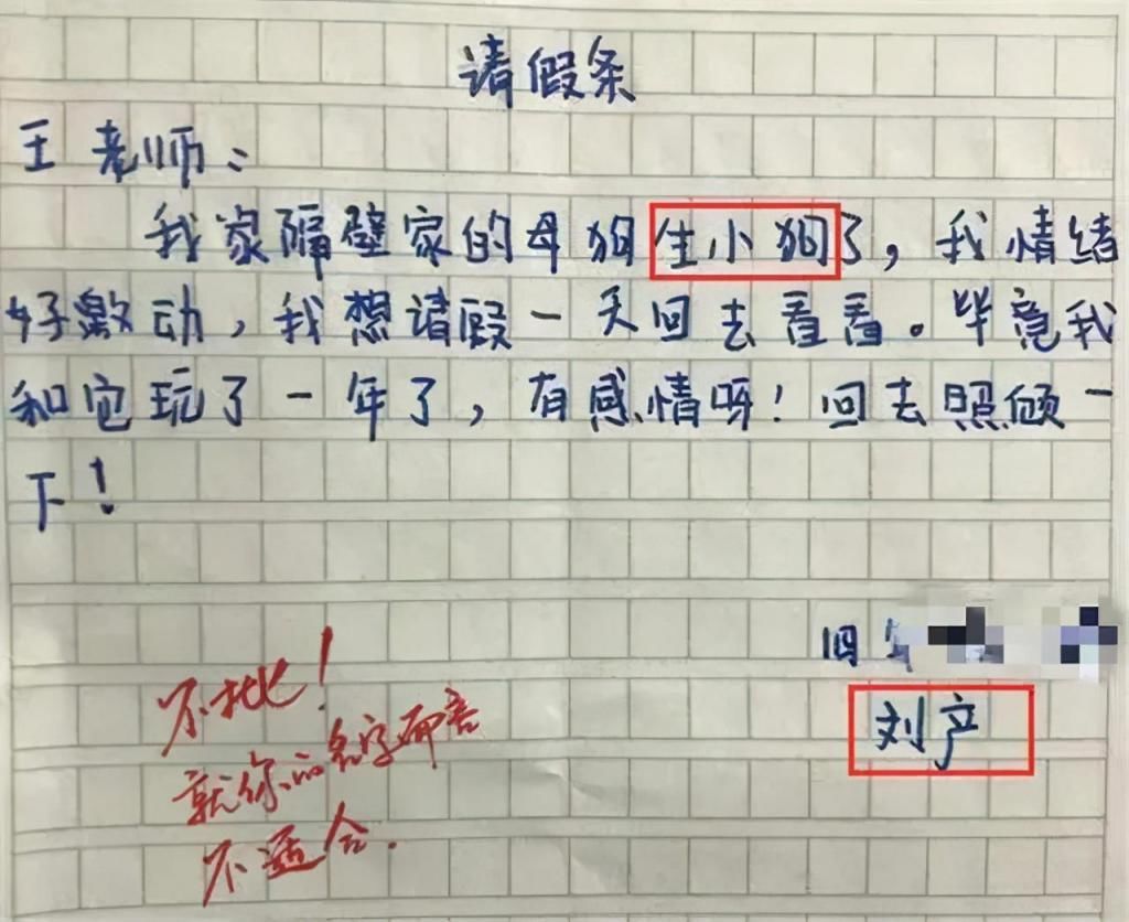 小狗|小学生请假去看“母狗生小狗”，老师直接驳回：你这名字就不适合