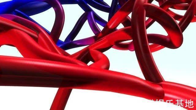 寿命长|寿命长的男人，身上通常有“1黑2细3软”，若你也是，恭喜了