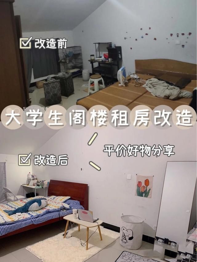 矫情|大学生“校外租房”成普遍现象？是花钱买清闲，还是太“矫情”？