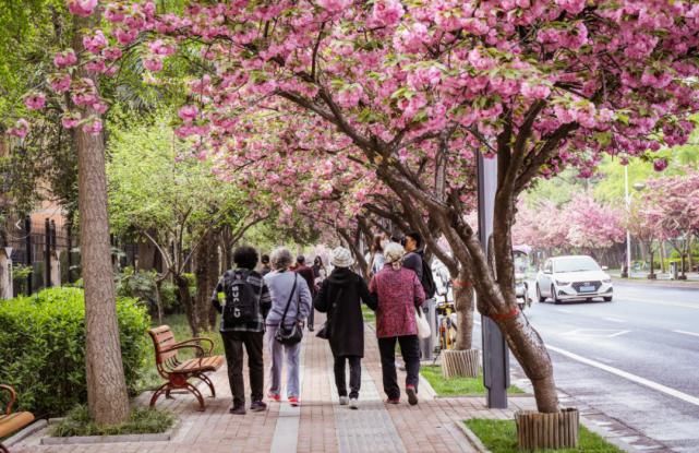 高新区的当家花旦，美出圈了~