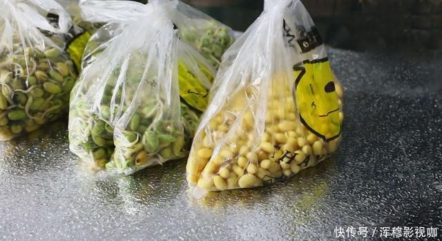 豆芽不用花钱买,用一个塑料袋就够了,一茬接一茬,安全靠谱