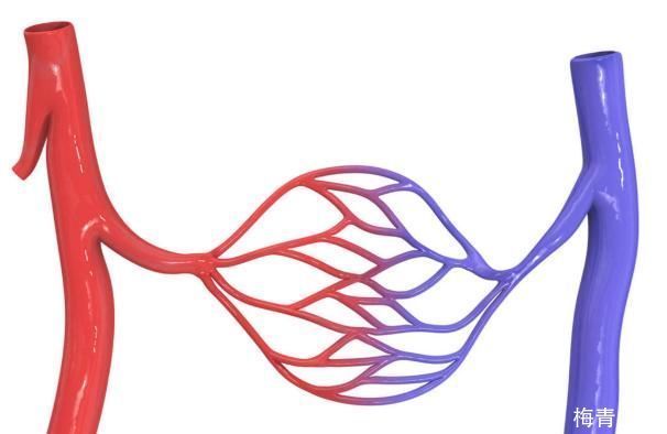 血管堵塞|血液有多稠,睡觉能知道,睡觉时出现的3个表现,或是血管堵了