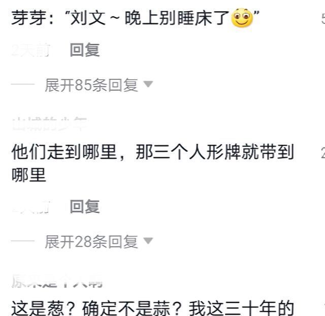 劉耀文|宋亞軒悄悄拔阿姨的蔥，劉耀文立馬告狀，說的話讓小宋不敢吃蔥