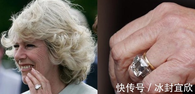 伊丽莎白|卡米拉的蛇形项链20年前做情人时查尔斯送的,蛇蝎气质一目了然