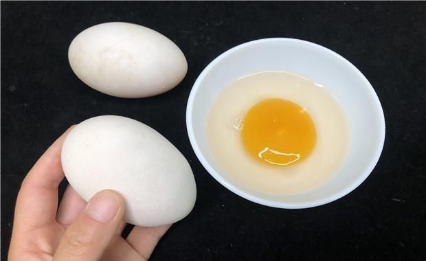 鸡蛋、鸭蛋、鹅蛋哪个营养最高今天总算知道了,以后别再吃错了
