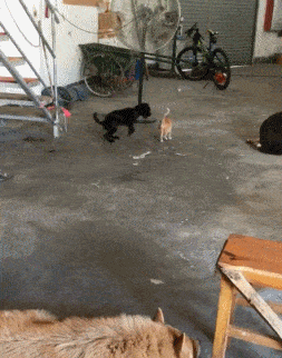 |搞笑GIF:三个老板看一个员工干活,这名员工辞职的心都有了