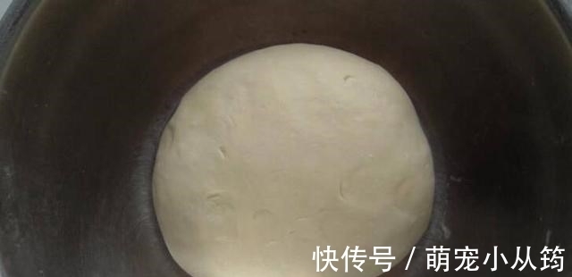 秋天，别错过这碱性食物，7毛钱一斤，用来包饺子鲜嫩多汁超级香