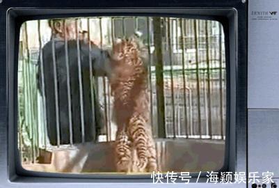 酒厂#此人一生生擒猛虎7只,活豹230只,94岁创办酒厂,人称“活武松”